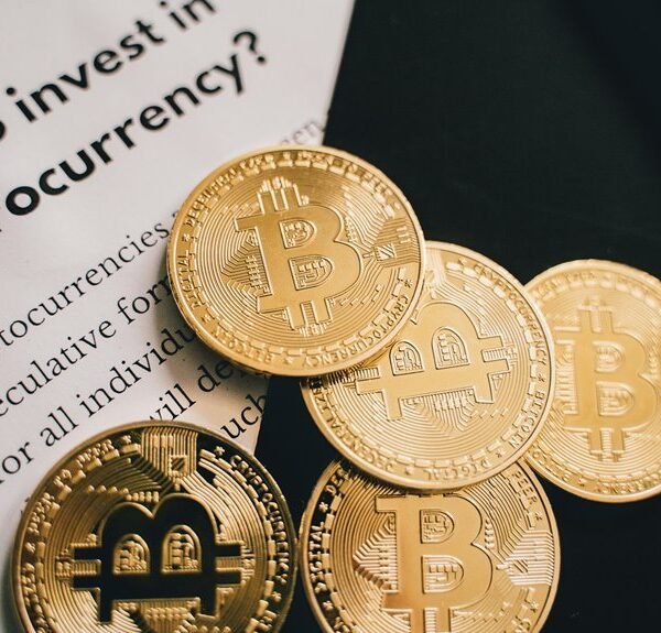 digital guide for growth