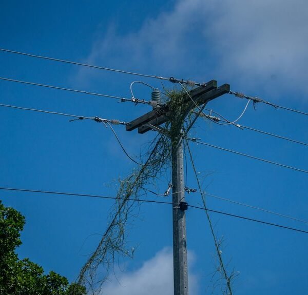 digital infrastructure for growth