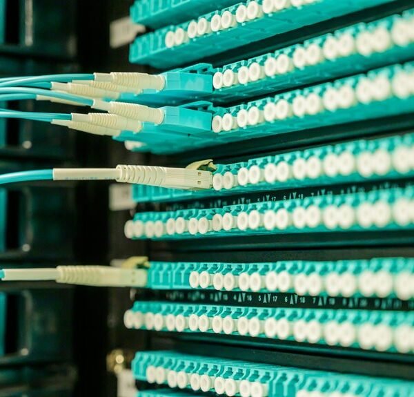 network growth strategy 2022