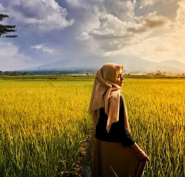 online model for growth