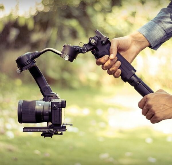 professional stability framework online