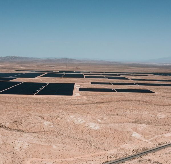 smart digital expansion services